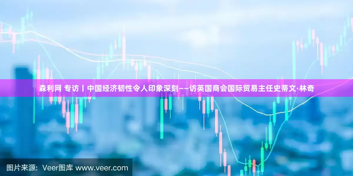 森利网 专访丨中国经济韧性令人印象深刻——访英国商会国际贸易主任史蒂文·林奇